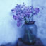 Blubell Jar
