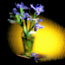 Iris in Vase