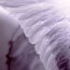 Angel Wing