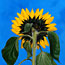 Sunflower Wave