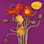 Purseus Poppies
