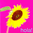 Hola!