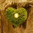 Love Is The Key 3 - Moss Heart
