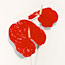 Red Anthurium