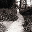 Straight Ahead