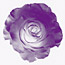 Indigo Rose