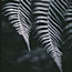 Unfurled